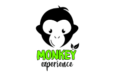 Monkey experience :